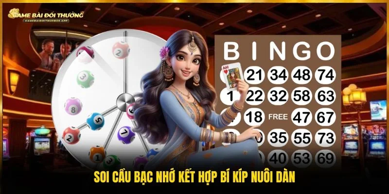 Bật mí phương pháp chơi nuôi dàn và hình thức bạc nhớ