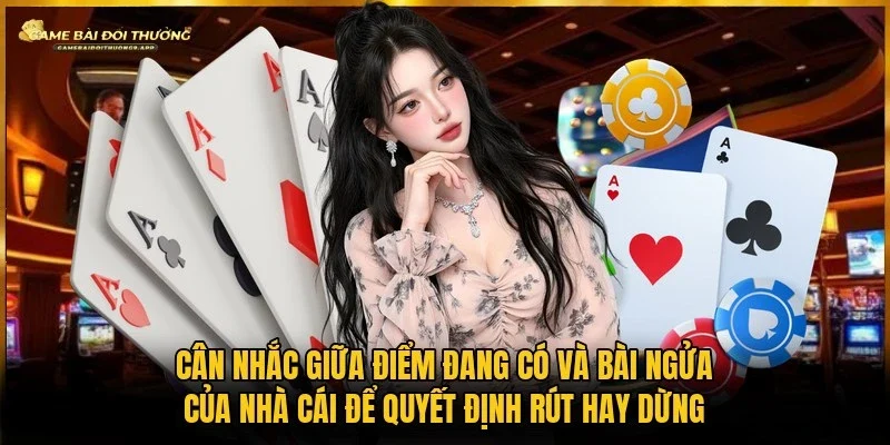 Hội viên nên đánh giá tổng quan trước khi đưa ra quyết định