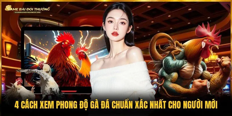 Xem phong độ gà đá